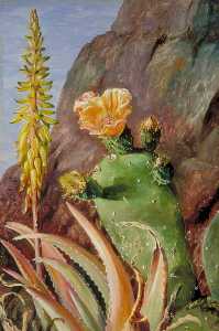 aloe und cochineal kaktus in Blume  Teneriffa