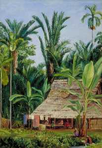 A Tailor's Shop in the Botanic Garden, Buitenzorg, Shaded by Sago Palms and Bananas