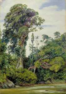 Tree Covered with Epiphytes and a Palawan Tree, Sarawak, Borneo