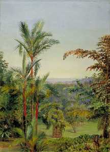 View of Singapore from Dr Little's Garden
