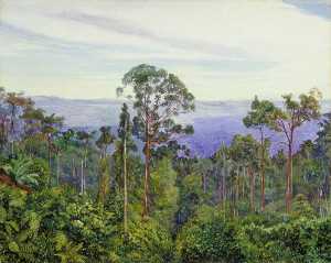 View of the Matang over the Great Swamp, Sarawak, Borneo