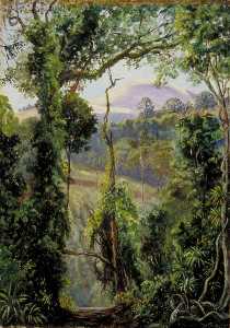 View Looking out of the Bunya Forest at the Summit, Queensland