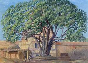 Peepul Дерево , Шрирангам , тамил-наду , Индия