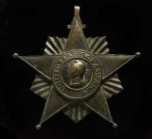 United States of America Bronze Star