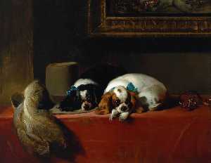 King Charles Spaniels ('The Cavalier's Pets')