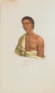 O HYA WA NIM CE KEE or the Yellow Thunder A Chippeway Chief, from The Aboriginal Portfolio