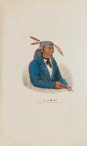 A Young Miami Chief, from The Aboriginal Portfolio