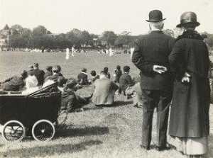 Cricket in the Park