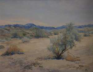  早期 在  的  天  在  沙漠  安静  绘画