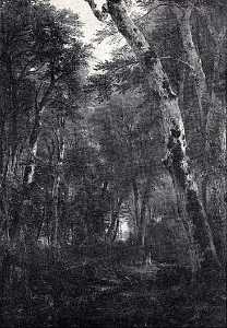 Woodland Interior, (painting)