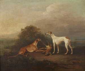 Two Greyhounds and a Dead Hare