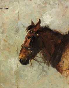Sketch of Horse's Head