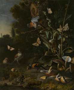 Oiseaux , Papillons et une Grenouille parmi les plantes et des champignons