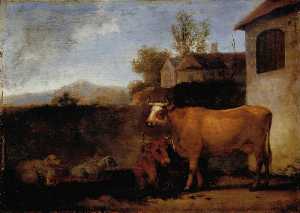 kühe und  Schaf