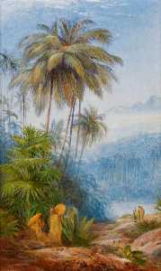 Ceylon Scenery