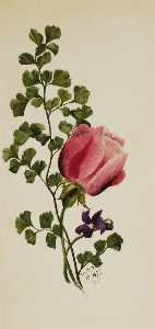 Pink Rose with Violet