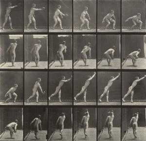 hombre, lanzar, hierro Disco Lámina 307 de animales La locomoción ( 1887 )