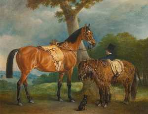 Lady Thorold's Hunter and Shetland Pony with Groom