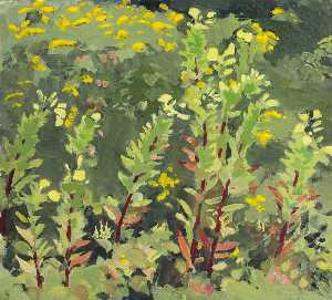 Primroses and Goldenrod