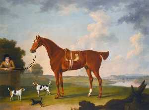 Chestnut Hunter with a Groom