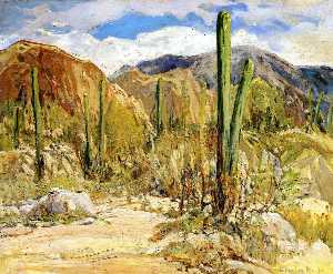 Giant Cacti Arizona