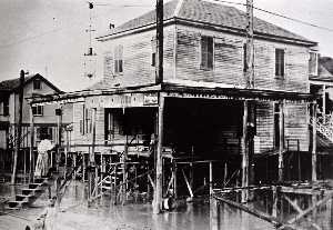 estremità occidentale Drogheria , posizione non identificata , Donna, salire, passi , nel corso grandraising 1903 1911 , dal negozi angolo di Galveston , Galveston Paese Culturale Arti Consiglio
