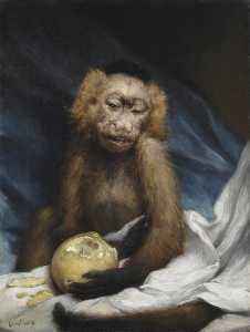 Mono con limón ( también conocida como la acidez Experiencia )