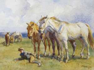 Horses and Groom Resting