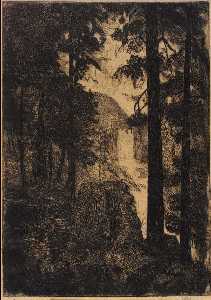 forêt Clairière