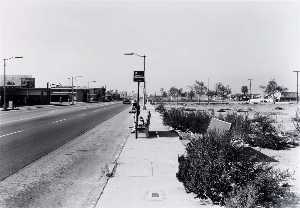 Public Transit Areas, California Ave. and Anaheim St., Looking North, from the Long Beach Documentary Survey Project
