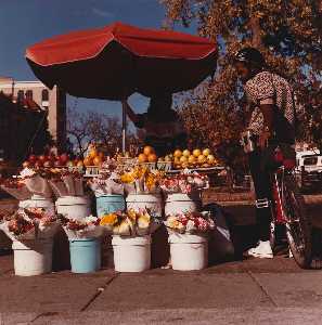 frucht-verkäufer mit mann auf dem fahrrad , von dem serie connecticut Allee
