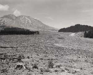 Looking NW across Lahar at Mount St. Helens, 6 miles SE of Mount St. Helens, Washington, 1984