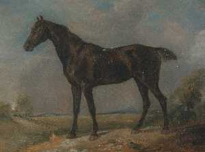 Golding Constable's schwarzes reiten Pferd