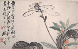 近代 陳衡恪 玉簪花 冊頁 Plantain Lily