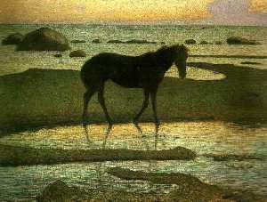pferd der  strand