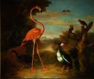 Flamingo und andere Vögel in einer landschaft