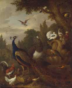 Peacock, peahen, parrots, canary, and other birds in a park