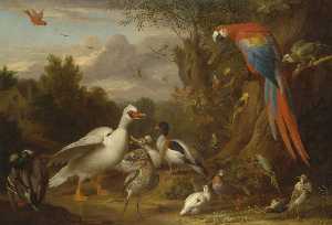 Un Ara , Anatre , Pappagalli e altri Uccelli in un paesaggio