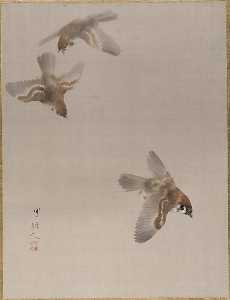 Sparrows Flying