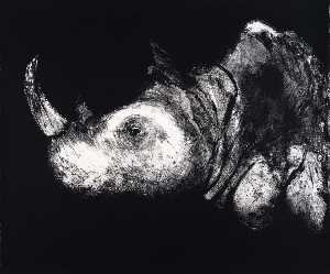 (A Bestiary, portfolio) Rhinocerus