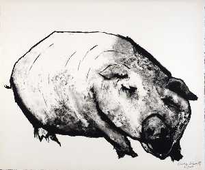 (A Bestiary, portfolio) Pig