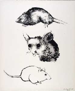 (A Bestiary, portfolio) Mice