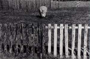 Untitled (Fence, Wooden Rabbit)