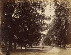 Main Street North from Eraus Cottage, from the album Views of Charlestown, New Hampshire