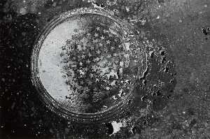 Untitled (Lid with stars), from the series Manholes