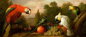 composition avec perroquets  et  fruits
