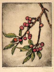 May Cherries