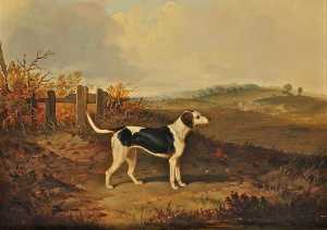 Foxhound in a Landscape (facing to the right)