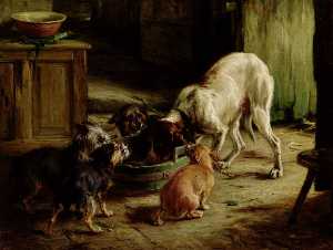 The Dogs' Dinner (possibly 'More Free Than Welcome')