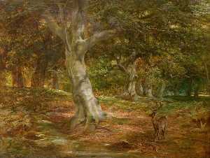 Forest Scene with Deer